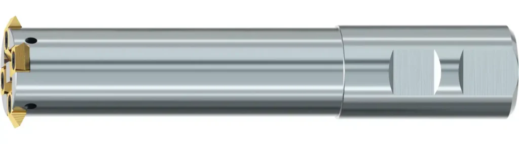 3D_Gigant-ic-Gr_12-13-IKZN-B-TIN